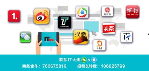网络视频,XX现象背后的真相与启示