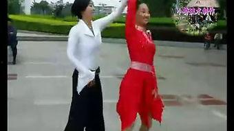 交谊舞视频,交谊舞视频中的浪漫瞬间