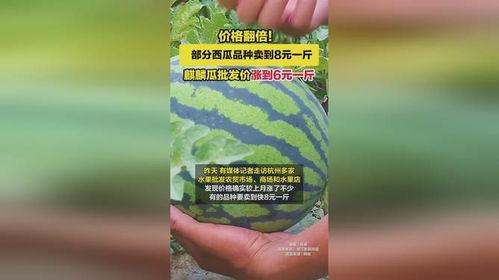 东莞麒麟瓜批发今日行情