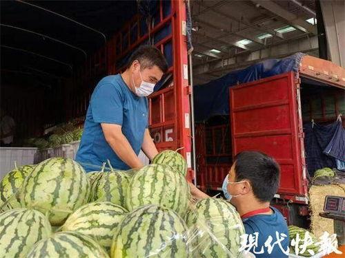 东莞麒麟瓜批发今日行情