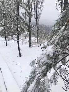 瓜州今日下雪了吗最近,冬日里的别样美景”