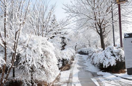瓜州今日下雪了吗最近,冬日里的别样美景”
