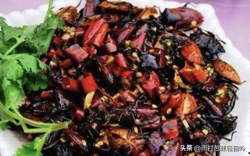 吃瓜黑科是什么意思,网络流行语的内涵与演变
