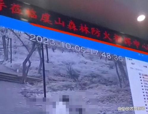 森林防火视频监控,实时守护绿色家园的科技防线