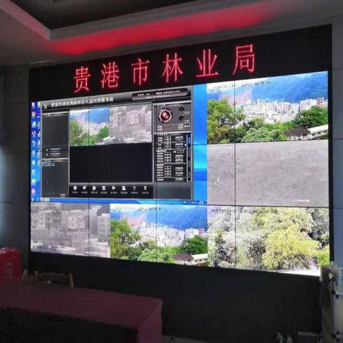 森林防火视频监控,实时守护绿色家园的科技防线