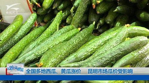 全国今日瓜价,今日瓜市行情一览”