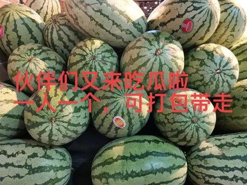 吃瓜爆料中,吃瓜爆料背后的真相大揭秘