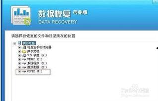 如何恢复删除的视频,全方位指南