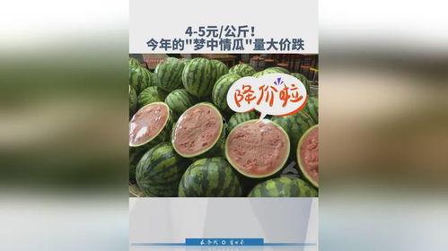 今日大蓬瓜价格多少,涨跌波动背后的市场动态