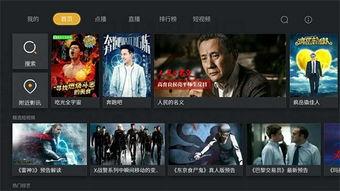 视频在线观看,在线观看必看亮点解析
