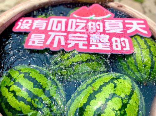 吃瓜爆料现场图片大全,吃瓜爆料图片大揭秘