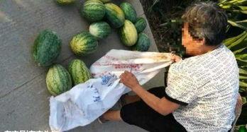 吃瓜最新事件爆料柯桥,吃瓜群众揭秘最新事件内幕