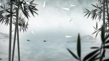 竹子视频,探寻自然之美，感受生命力量