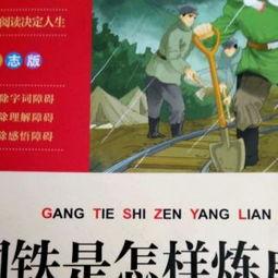 钢铁是怎样炼成的视频,一部坚毅与奋斗的史诗