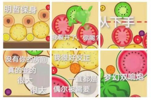 营销爆料吃瓜,吃瓜群众如何成为品牌传播的推手