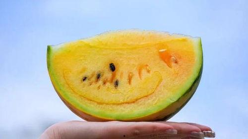 云南昆明吃瓜爆料视频,一场关于瓜子的风云际会