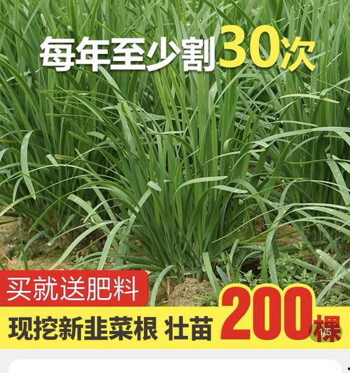 吃瓜爆料群1144,一场网络舆论的风暴