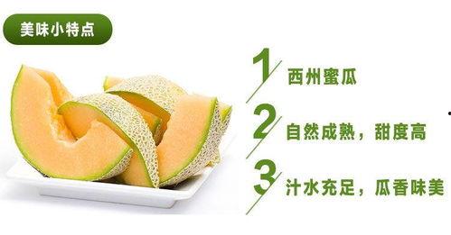 今日哈密瓜多少一斤,每斤XX元，品质佳选不容错过