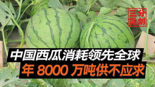 湖南吃瓜爆料是真的吗视频,湖南吃瓜爆料视频真实性揭秘