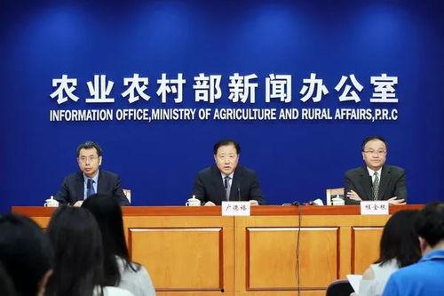 瓜州新闻今日消息,聚焦今日热点，共话瓜州发展新篇章