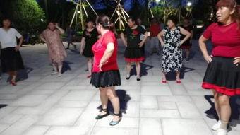 广场舞蹈视频大全,舞动人生，欢乐无限