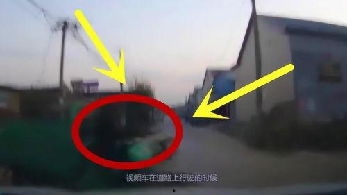 起碰视频,惊心动魄的瞬间回顾