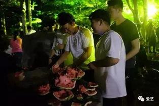 佤邦吃瓜爆料事件视频,揭秘背后真相与网络热议