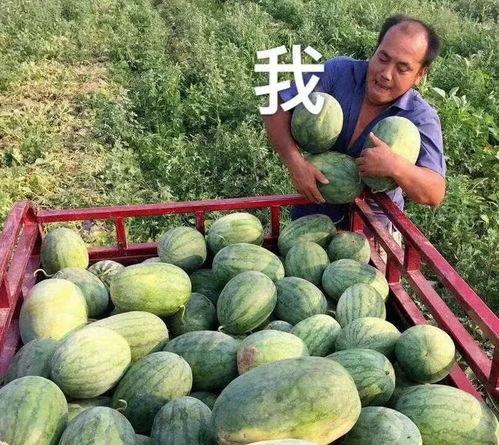 一个吃瓜群众爆料的人,吃瓜群众爆料的惊世人生故事