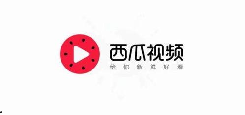 邯郸今日头条卖瓜,瓜果飘香，夏日炎炎，一起来尝鲜！