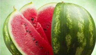 各种网红视频爆料吃瓜群,吃瓜群背后的娱乐风云