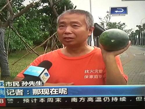 热门事件今日吃瓜,揭秘热门事件背后的真相，吃瓜群众齐围观！