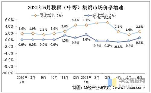 今日小瓜走势分析图表,今日市场动态一览