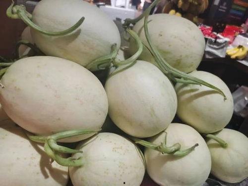 小蜜25号瓜今日报价,新鲜美味，价格实惠，抢购从速！”
