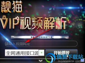 vip视频在线解析,解锁海量影视资源，畅享观影新体验