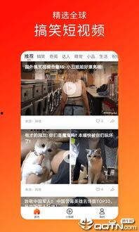 九九视频,探索无限视听世界的精彩瞬间