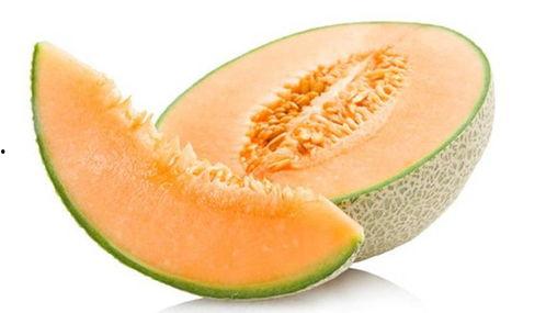 猫吃哈密瓜会拉黑便吗,揭秘黑便之谜