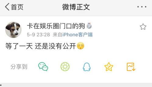 511爆料吃瓜网,揭秘娱乐圈最新热点事件