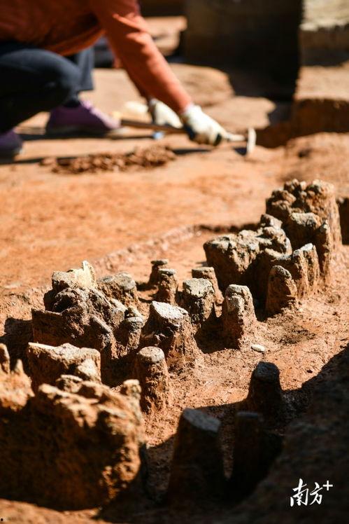 考古视频,考古视频揭示的历史宝藏