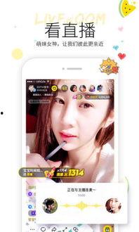 瓜哥今日吃瓜视频下载,揭秘娱乐圈最新热点事件