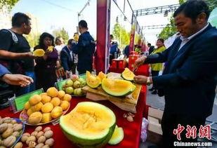 最新吃瓜爆料免费观看开平