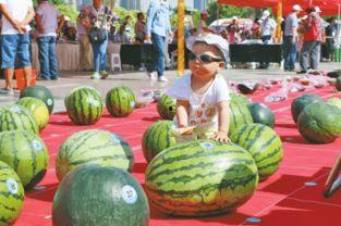 每日大赛今日大瓜,每日大赛独家揭秘，精彩瞬间不容错过