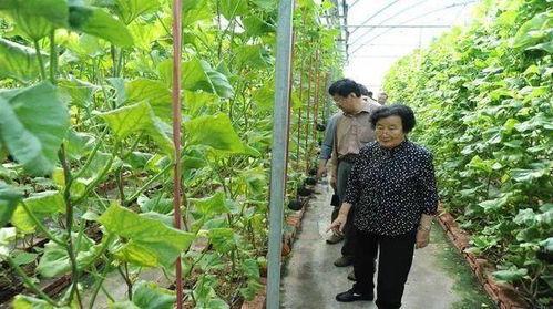 兰陵吃瓜最新事件爆料是真的吗,最新爆料真相揭秘