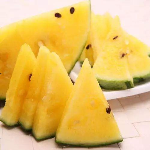 俄罗斯搜索吃瓜黑料视频,吃瓜黑料视频背后的真相