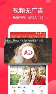 吃瓜爆料素材视频下载安装,下载安装背后的秘密与技巧