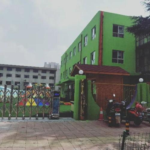 小白瓜今日行情最新消息,今日最新价格走势解析