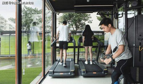 小白瓜今日行情最新消息,今日最新价格走势解析