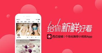 西瓜视频网页版,轻松畅享海量视频，打造个性化观影体验