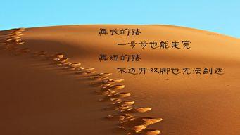 励志视频《相信自己》,唤醒潜能，成就非凡人生