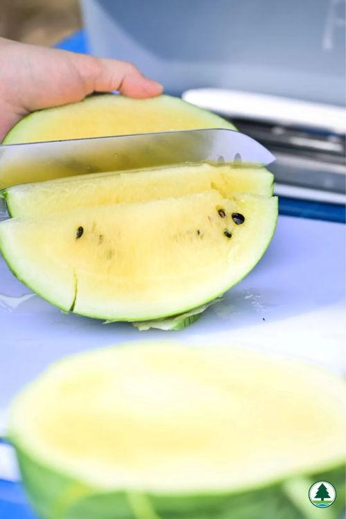 爆料吃瓜香港,爆料吃瓜，揭秘幕后真相