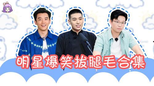 吃瓜爆料王九龙视频大全,揭秘娱乐圈幕后故事